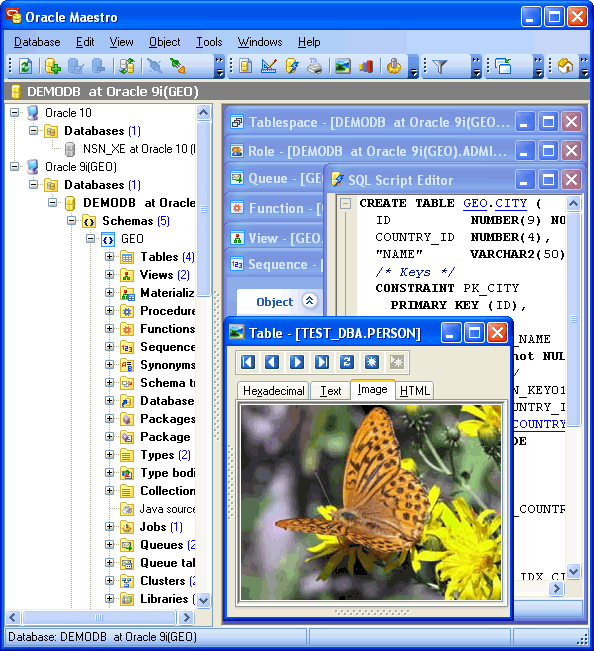 SQL Maestro Group Oracle Maestro 13.5.0.1