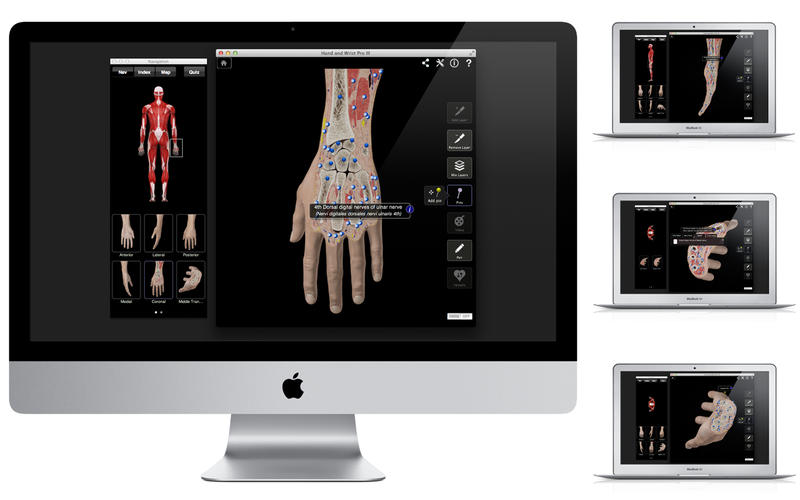 Hand and Wrist Pro III with Animations v3.8 Mac OS X