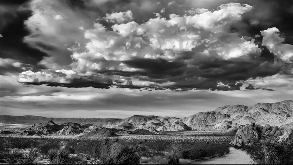 Lynda - Black-and-White Project: Creating a Dramatic Landscape with Lightroom and Photoshop