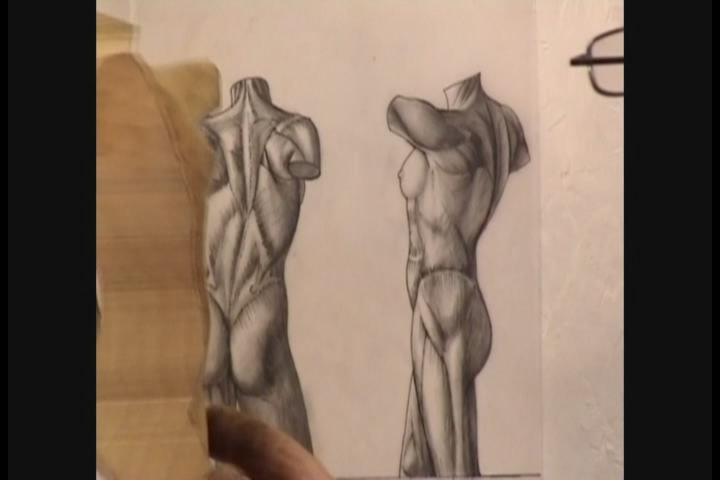 Carving a Female Torso