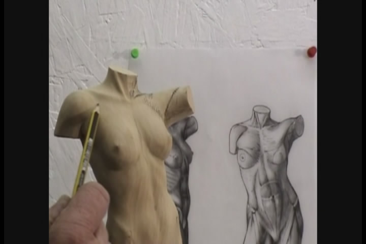 Carving a Female Torso