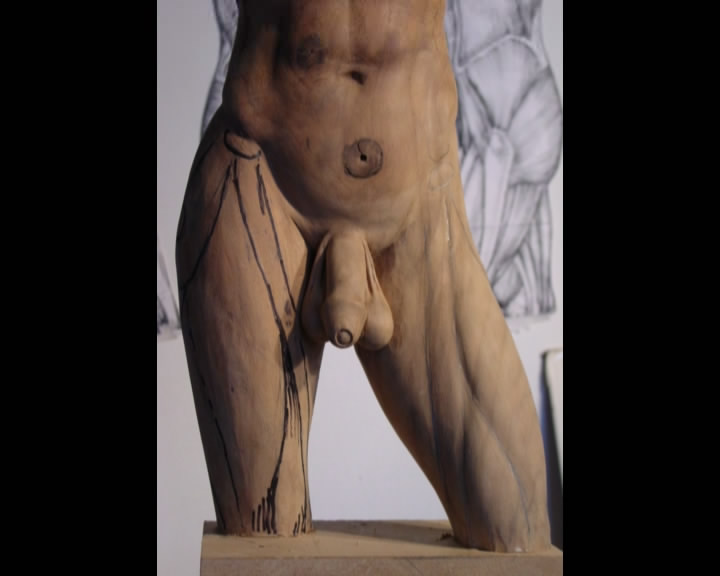 Carving the Male Torso