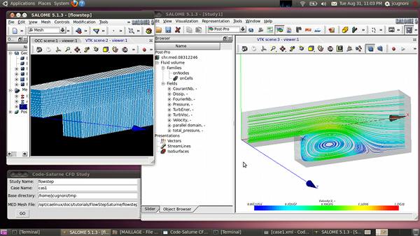 CAE Linux 2013