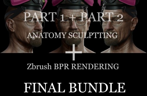 Gumroad - Anatomy Sculpting and ZBrush BPR Package by Frank Tzeng