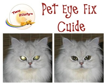 Pet Eye Fix Guide 1.2.1 Portable