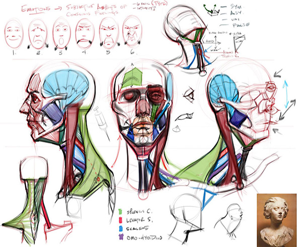 CGMA - Analytical Figure Drawing 2 [Repost]