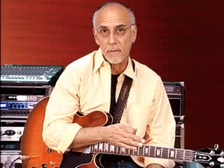 TrueFire - Larry Carlton - 335 Blues (2007) [Repost]