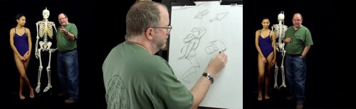 A Beginner's Guide to Figure Drawing