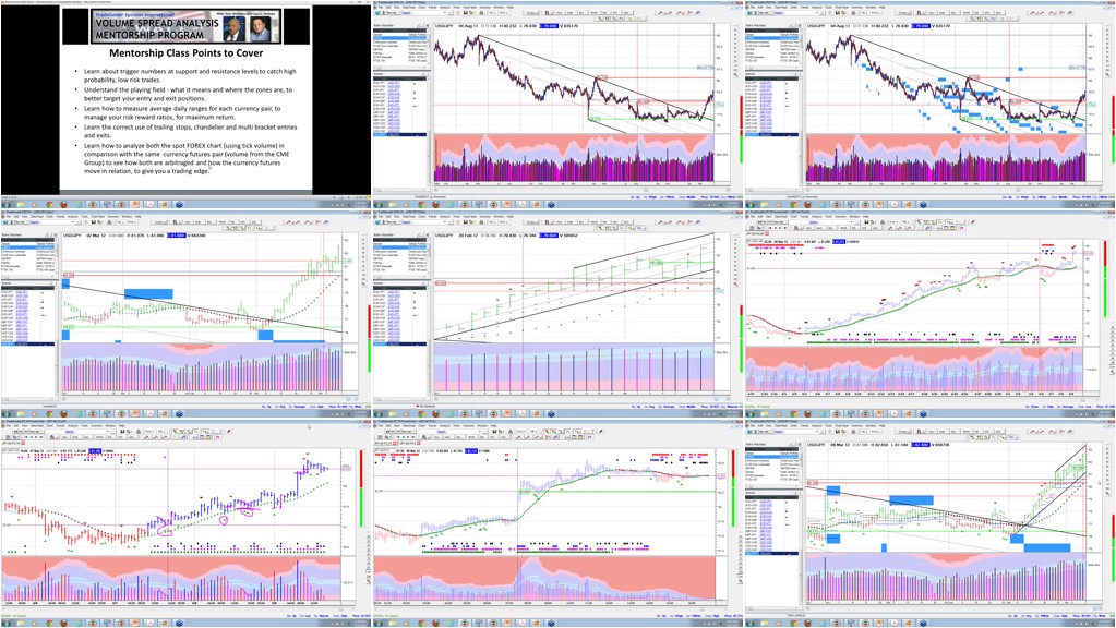 VSA FOREX Trading Mentorship Course