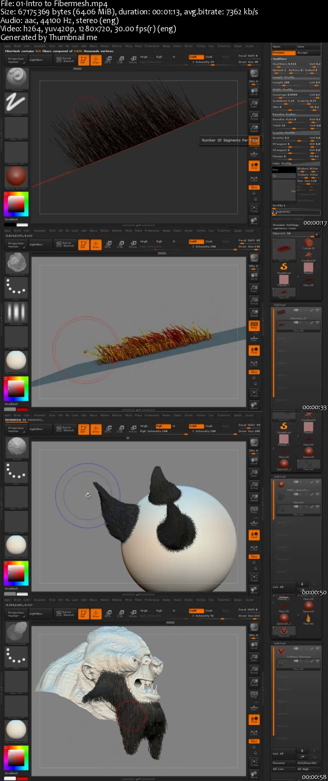 Introduction to Fibremesh in ZBrush Volume 1