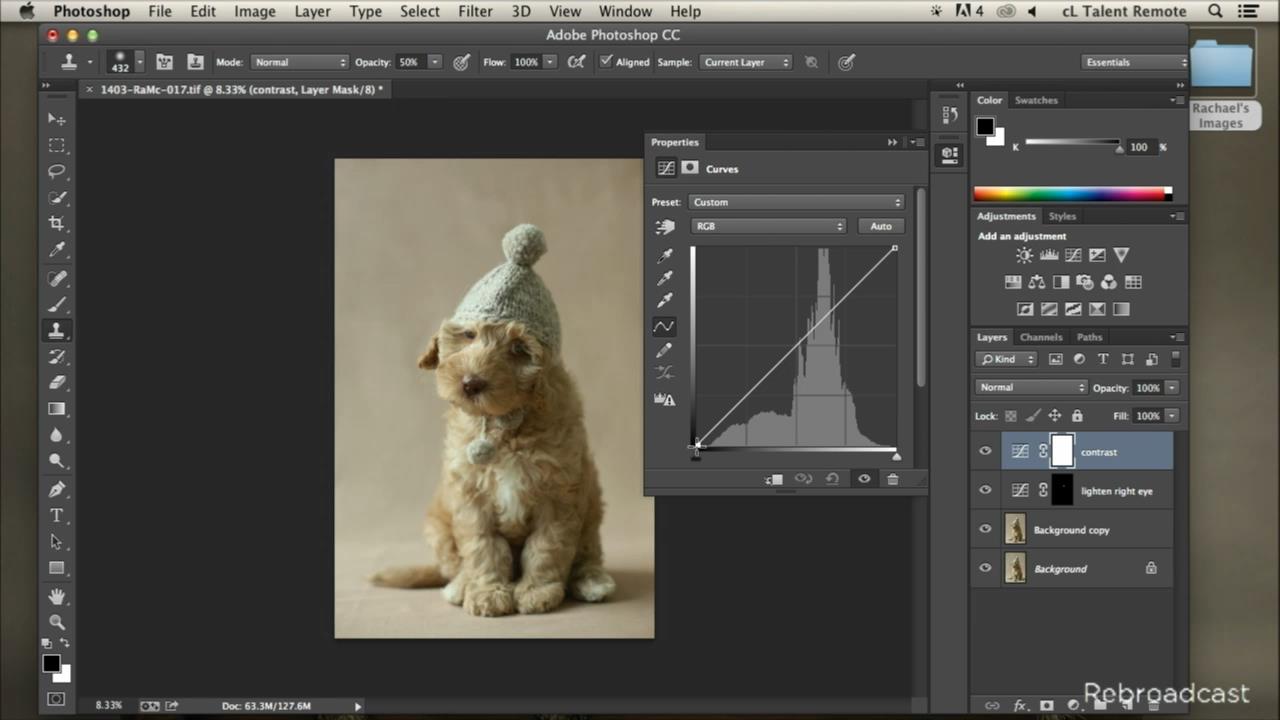 CreativeLive - Animal Photography with Rachael Hale McKenna (2014)