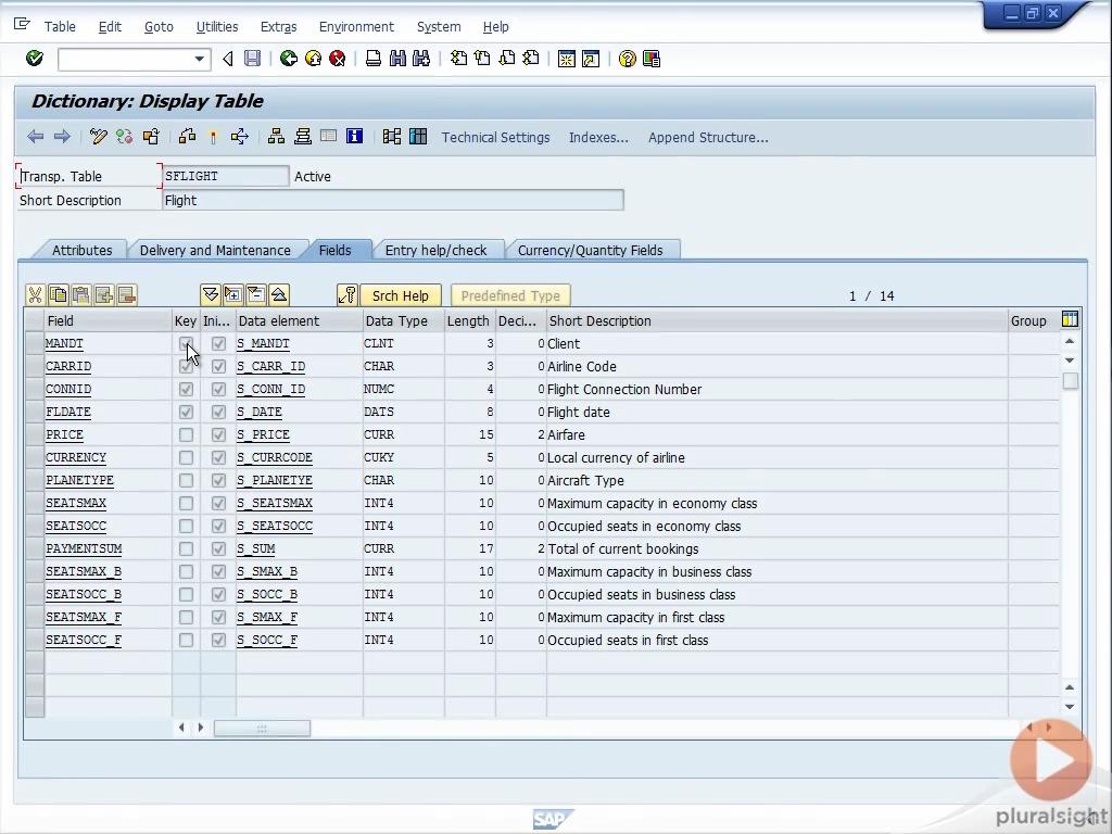 Introduction to SAP Integration for .NET Developers