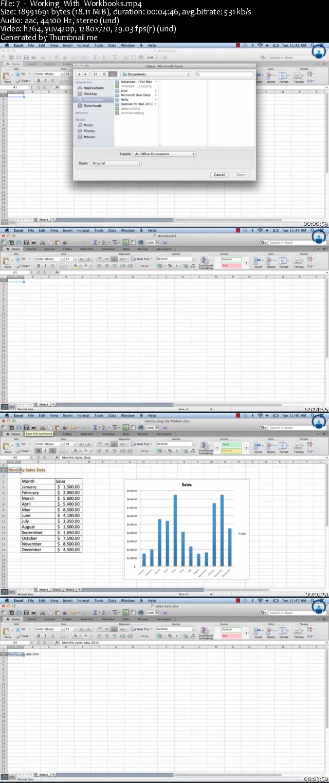 Microsoft Excel 2011 for MAC Users