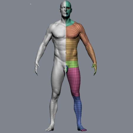 Male Body Scan High Resolution