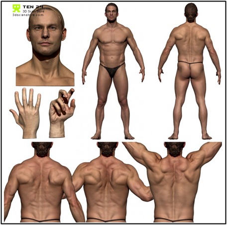 3D Scan Store Colour Male Anatomy Bundle 01