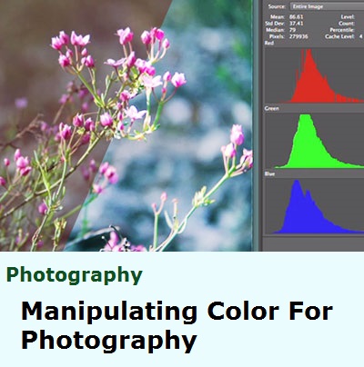 Tuts+ Premium - Manipulating Color For Photography