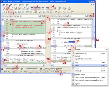 Araxis Merge Professional 2009.3750