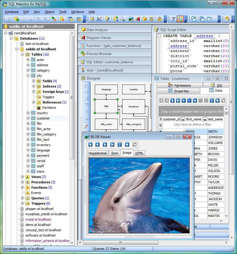 SQL Maestro Group SQL Maestro For MySQL 12.3.0.1