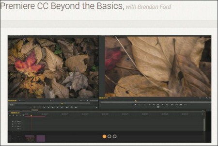 Premiere CC Beyond the Basics, with Brandon Ford (repost)