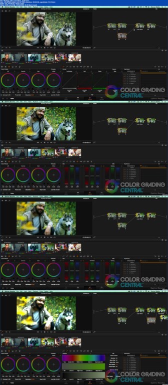 Color Grading Central - Davinci Resolve 11