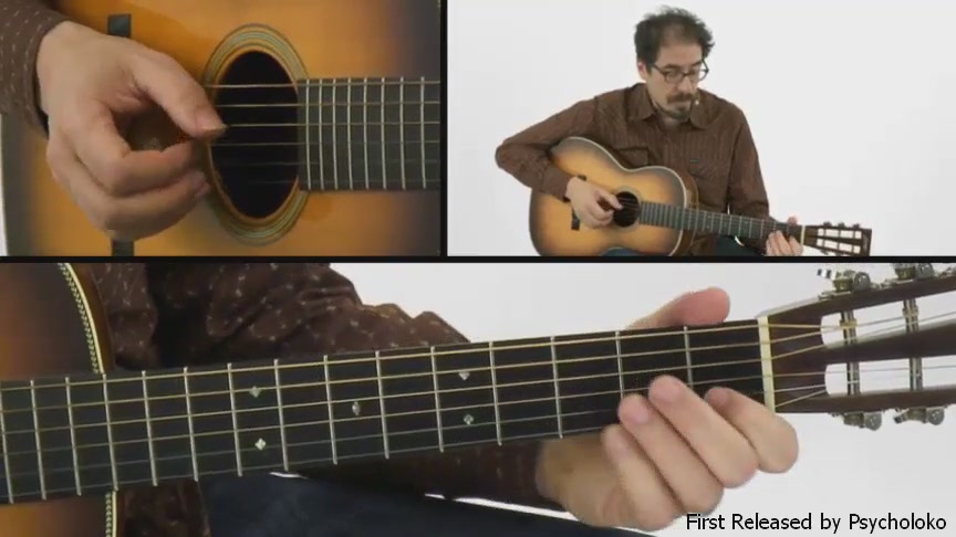 Truefire - David Hamburger's Essentials - Fingerstyle Blues (2015)