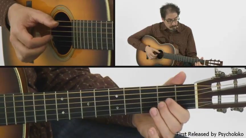 Truefire - David Hamburger's Essentials - Fingerstyle Blues (2015)