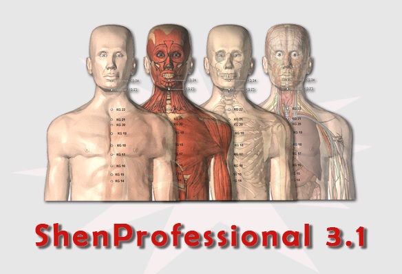 Shen Professional 3.1