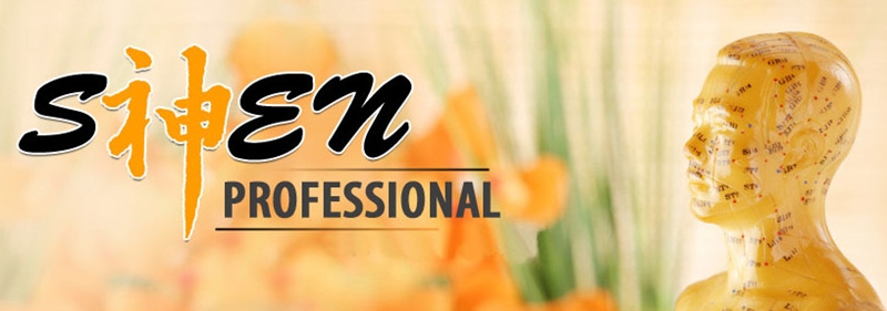 Shen Professional 3.1