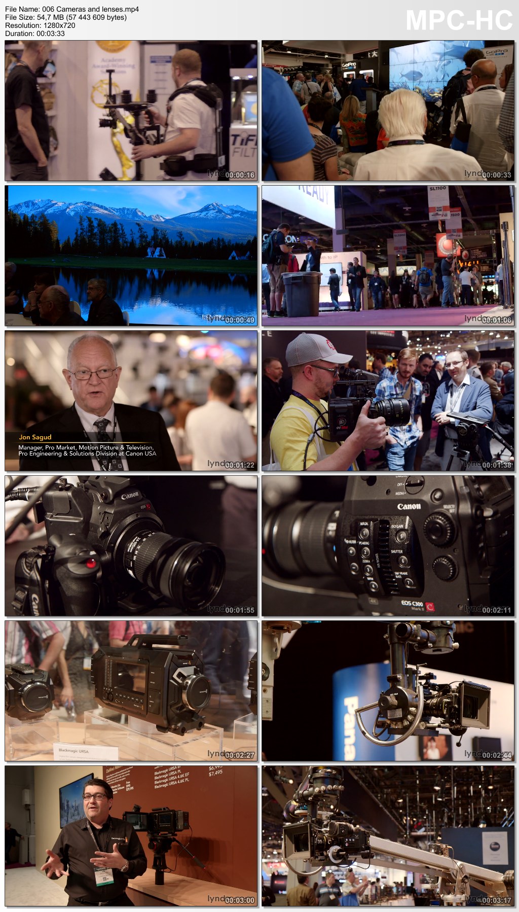 Lynda - NAB 2015: Navigating the Landscape of Video Production and Post