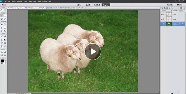 How to Create and Use Layers in Photoshop Elements 13