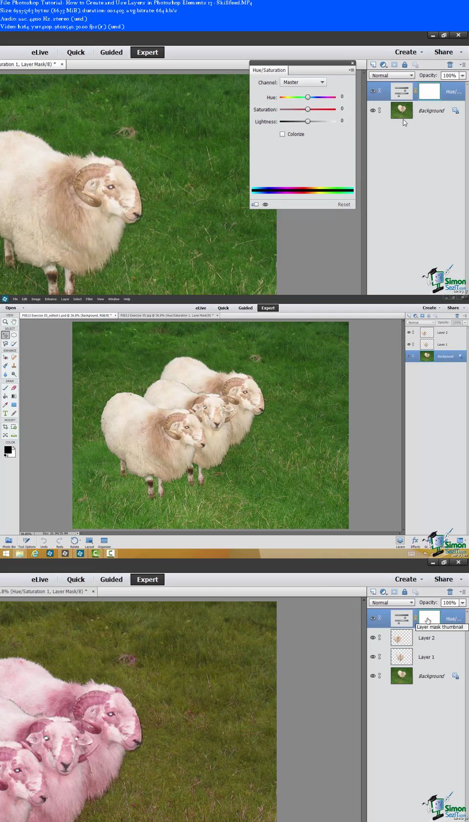 How to Create and Use Layers in Photoshop Elements 13