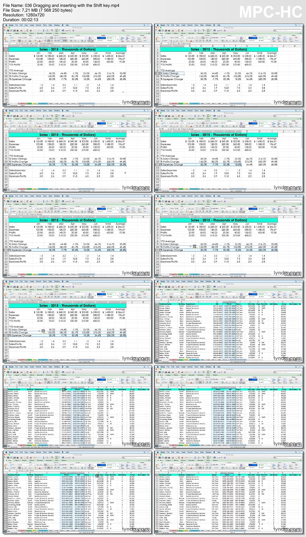 Lynda - Excel for Mac 2011 Tips and Tricks