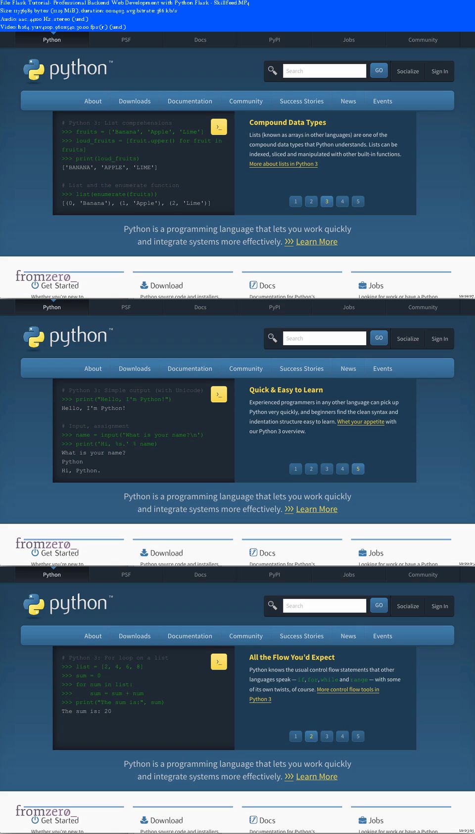 Professional Backend Web Development with Python Flask