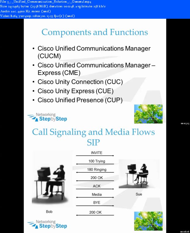 Udemy - Cisco Network CCNA Voice