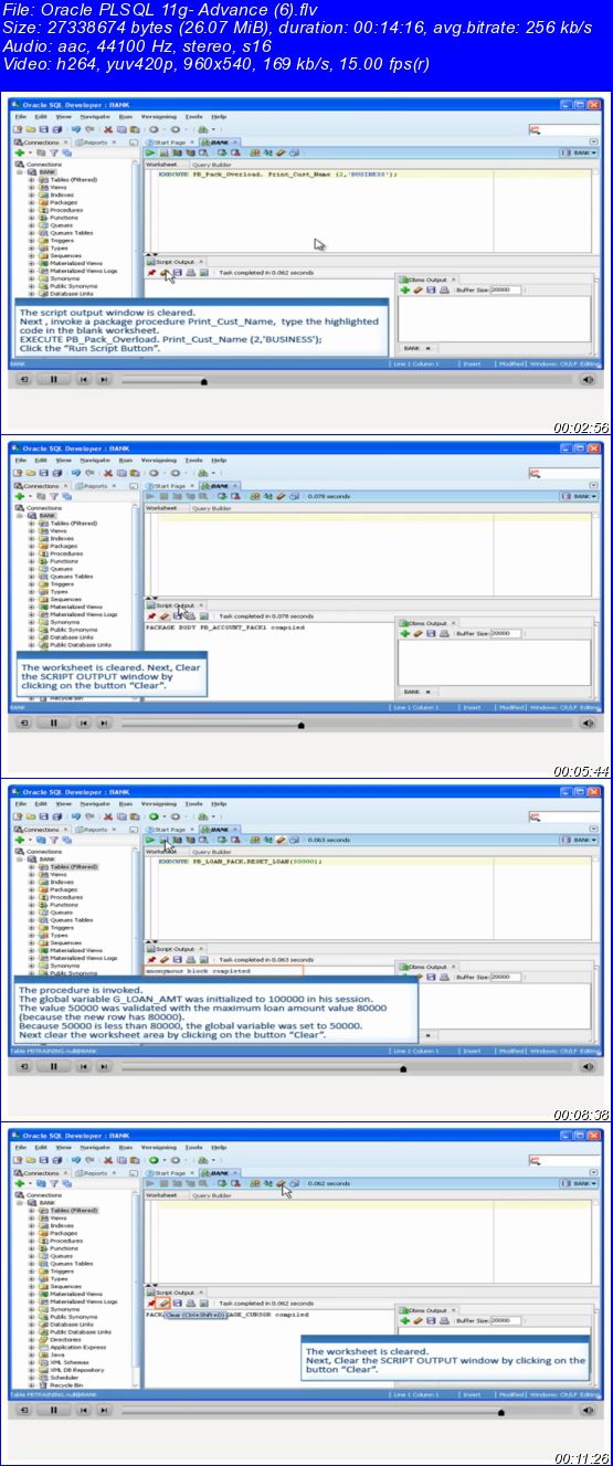 Oracle PL/SQL 11g- Advance