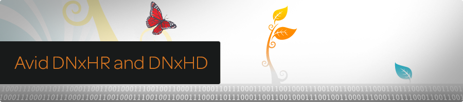 Avid DNxHR v.1.0.1 and DNxHD QT CODECs Pack PE v.2.7.0