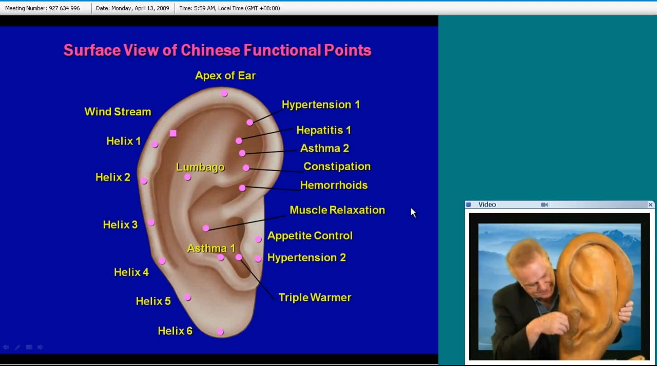 Dr. Terry Oleson - Auriculotherapy Training