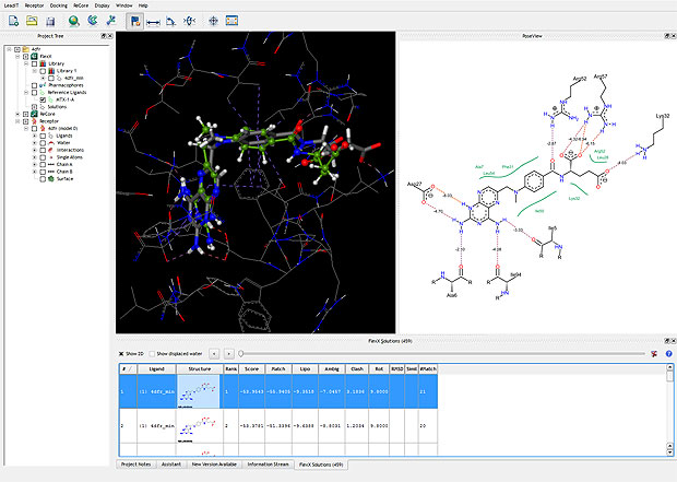 BioSolveIT LeadIT 2.1.8