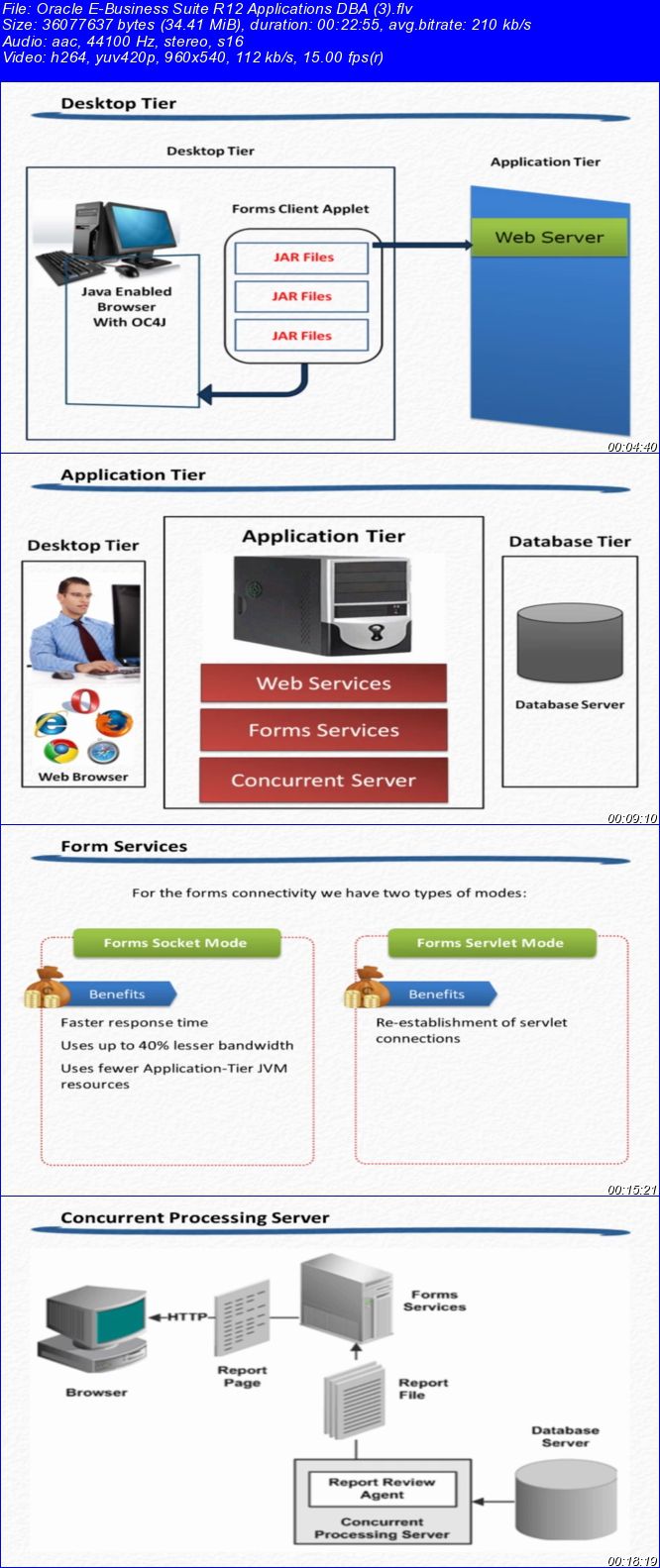 Oracle E-Business Suite R12 Applications DBA