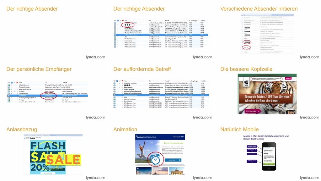 Video2Brain - E-Mail-Marketing – Grundlagen