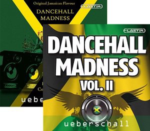 Ueberschall Dancehall Madness Vol 1 & 2 VSTi RTAS AU HYBRID DVDR-DYNAMiCS screenshot