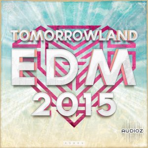 Diamond Samples Tomorrowland EDM 2015 WAV MiDi screenshot