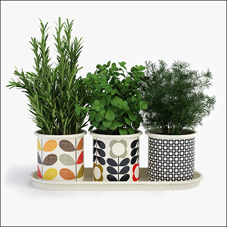 Orla Kiely 3 Herb Pots With Tray