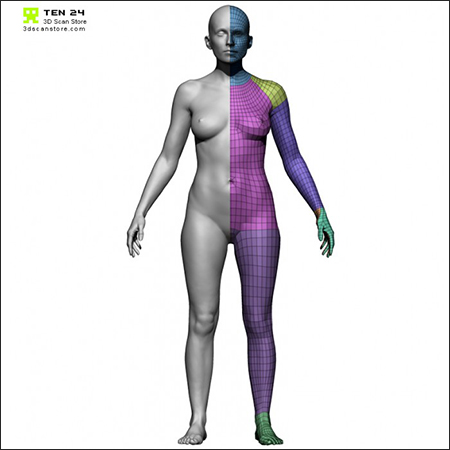 3D Scan Store Female Base Mesh