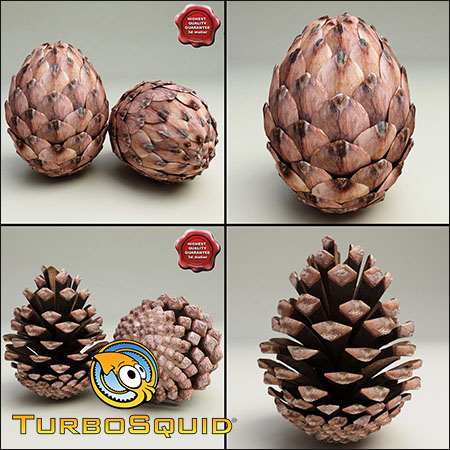 TurboSquid Fir Cones Collection