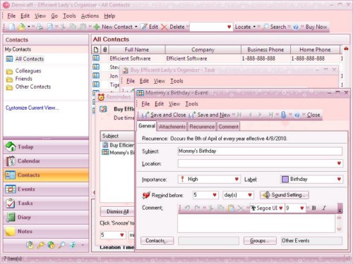 Efficient Ladys Organizer Pro 1.06.19 portable