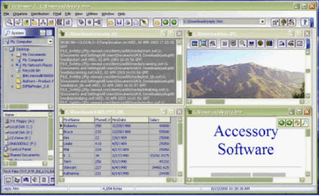 Accessory Software File Viewer 9.4