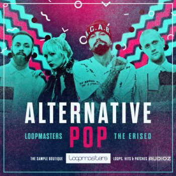 Loopmasters The Erised Alternative Pop WAV REX screenshot