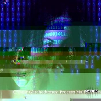 Glitchedtones Process Malfunction WAV screenshot