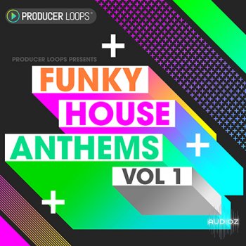 Producer Loops Funky House Anthems Vol 1 ACiD WAV MiDi REX screenshot